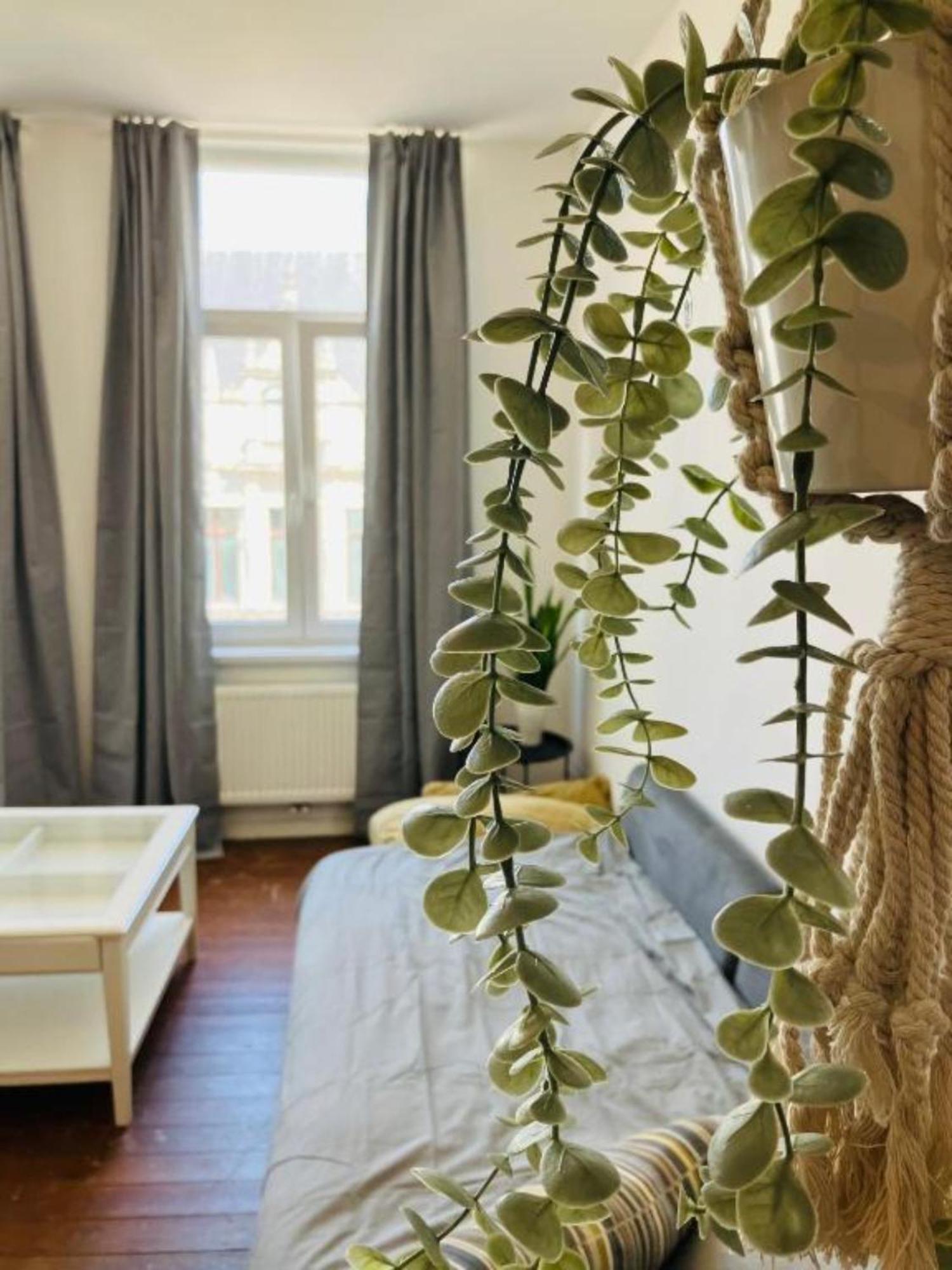 Bnb Suikernest Anvers Exterior foto